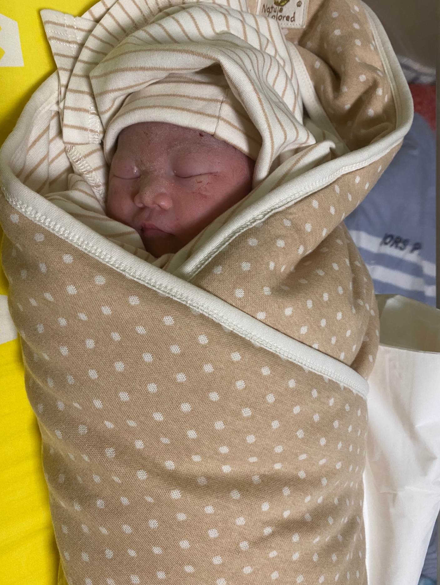 点击放大图片 新生的曙光:小博珉的第一天