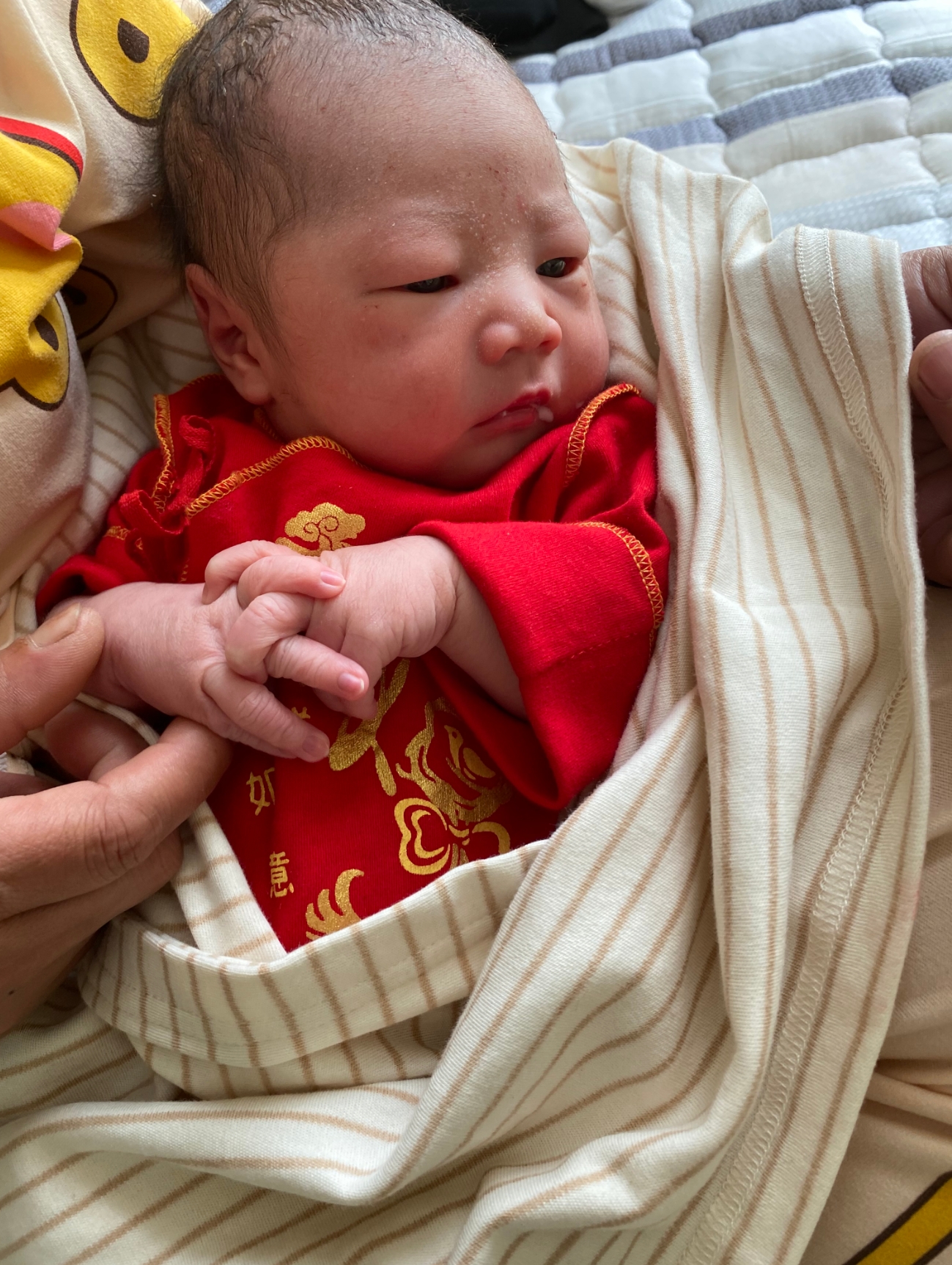 点击放大图片 新生的曙光:小博珉的第一天