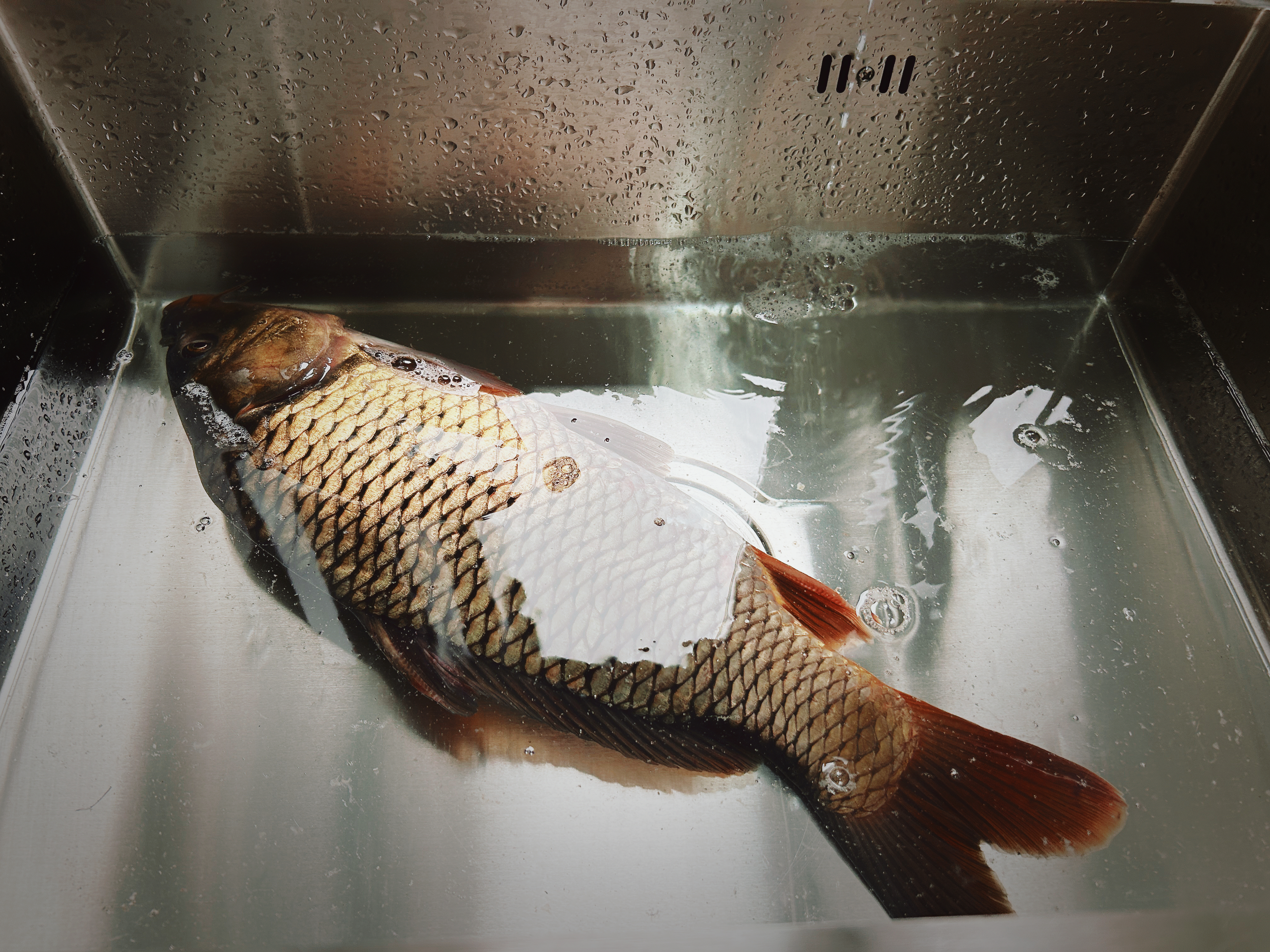 点击放大图片 乔迁之喜·新家新生活