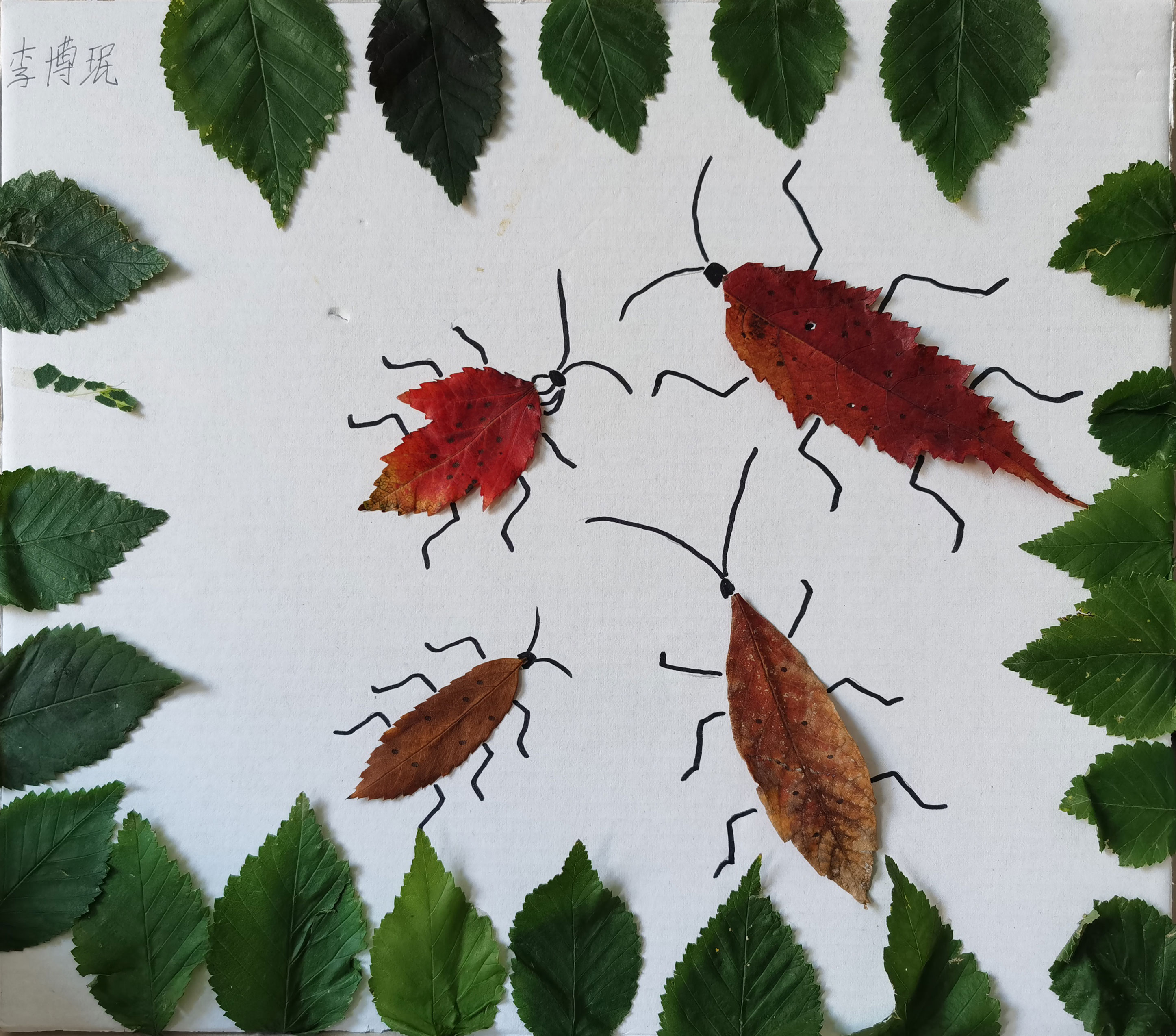 点击放大图片 秋日拾叶,创意无限 ,幼儿园秋游手工活动记