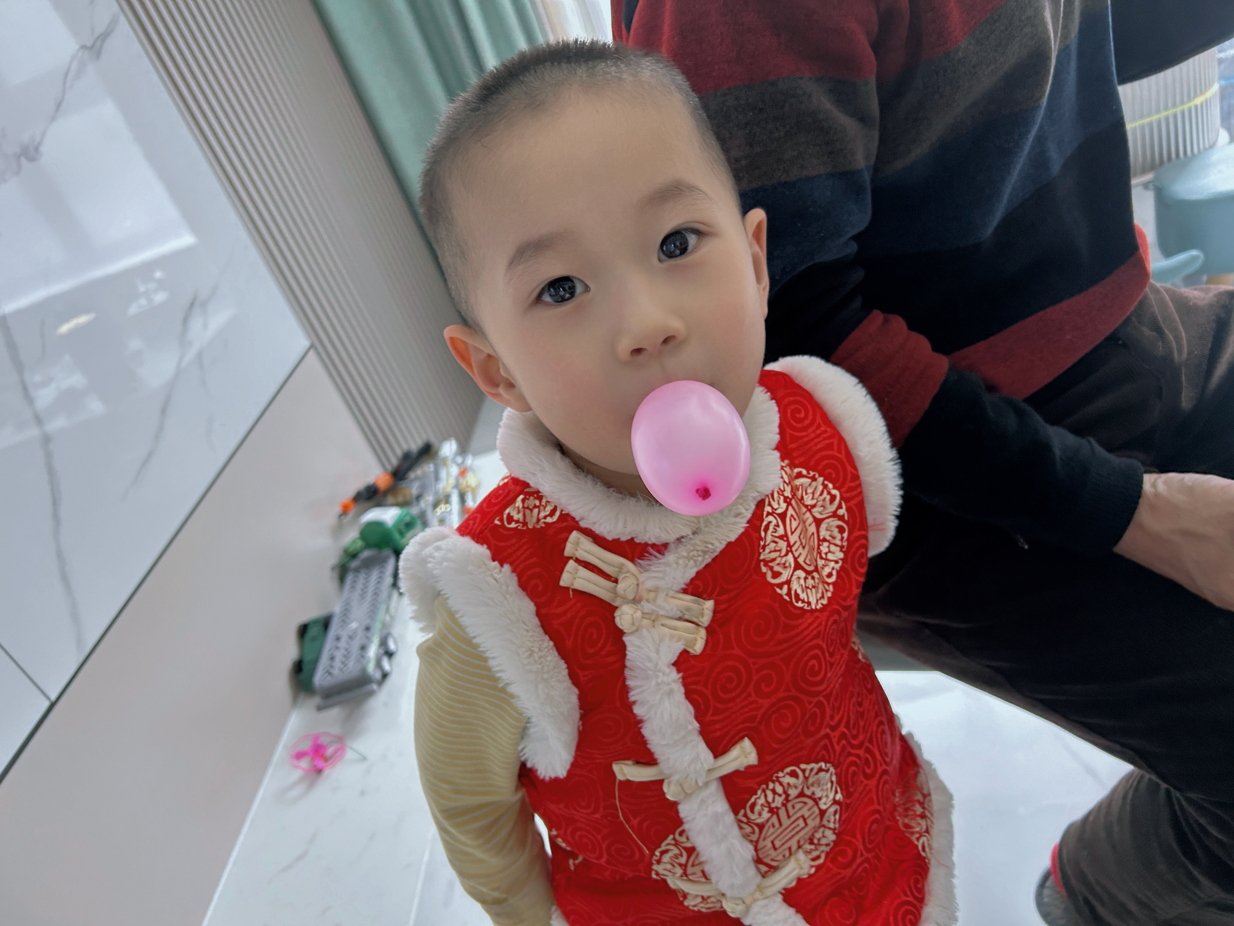 点击放大图片 贺岁新春(乙巳蛇年):我的第四个年