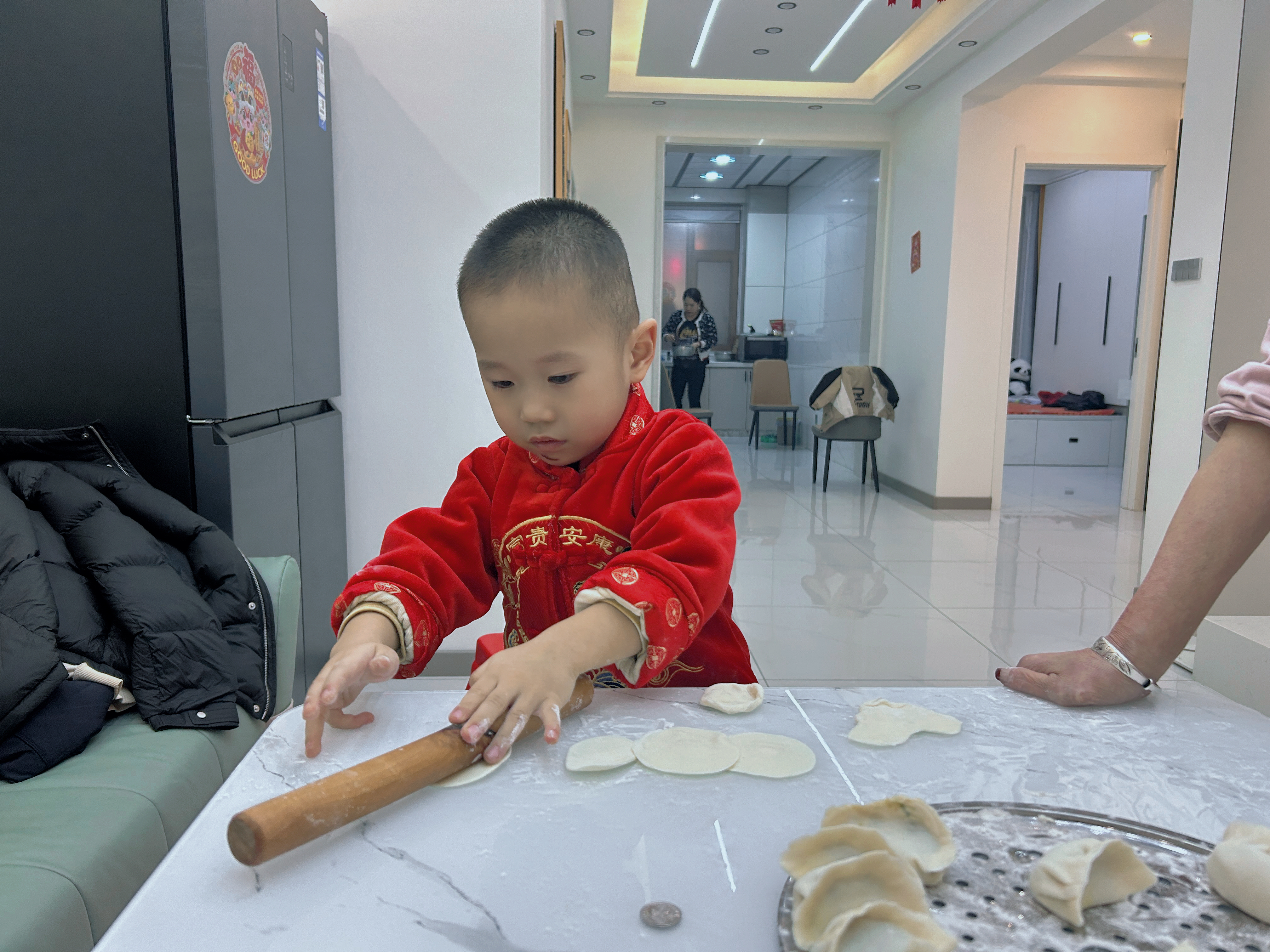 点击放大图片 贺岁新春(乙巳蛇年):我的第四个年