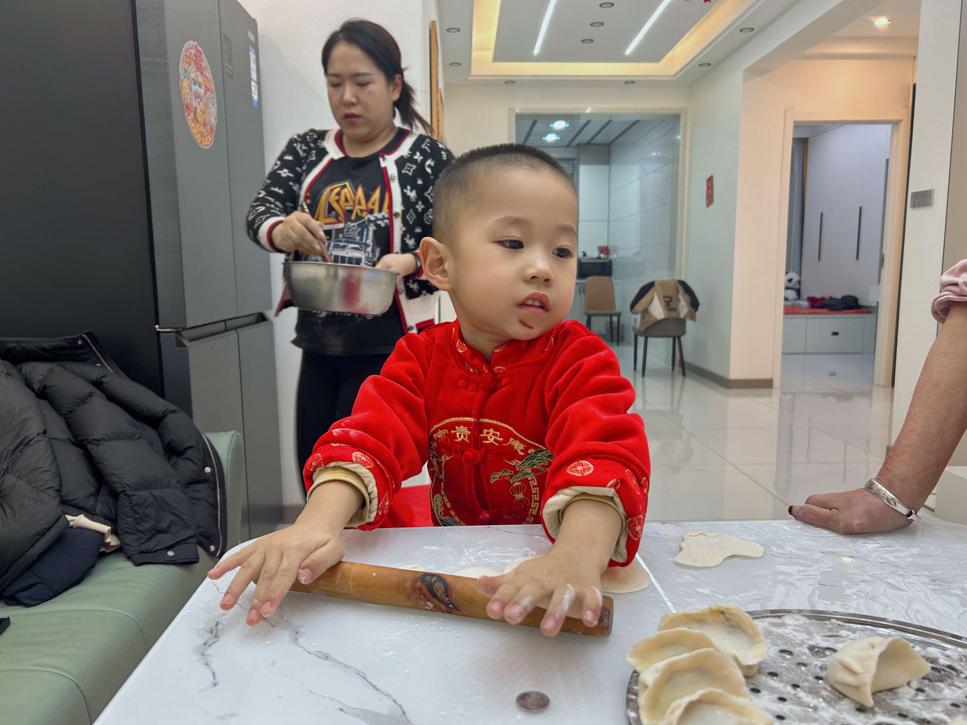 点击放大图片 贺岁新春(乙巳蛇年):我的第四个年