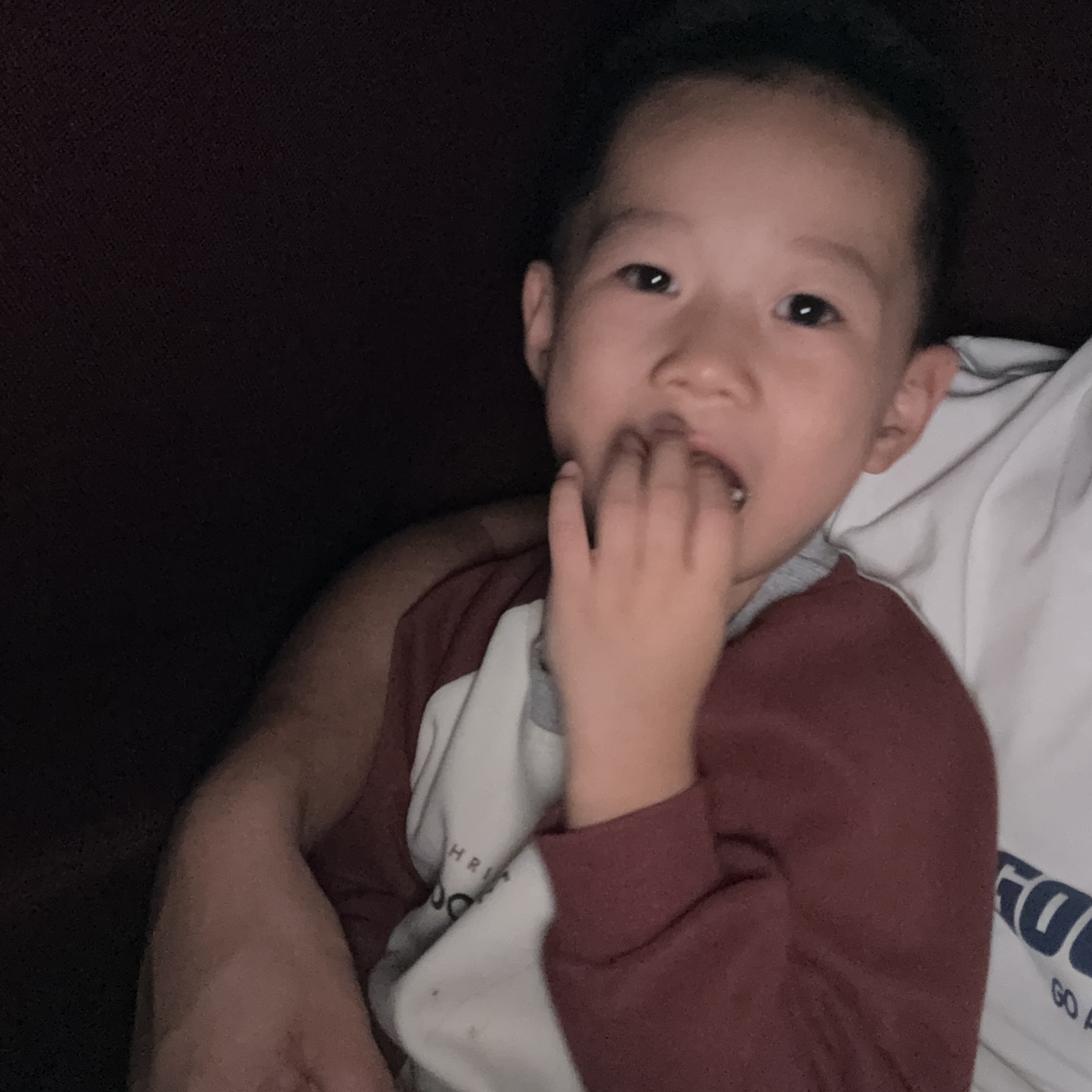 点击放大图片 记博珉第一次走进影院观看电影《731》